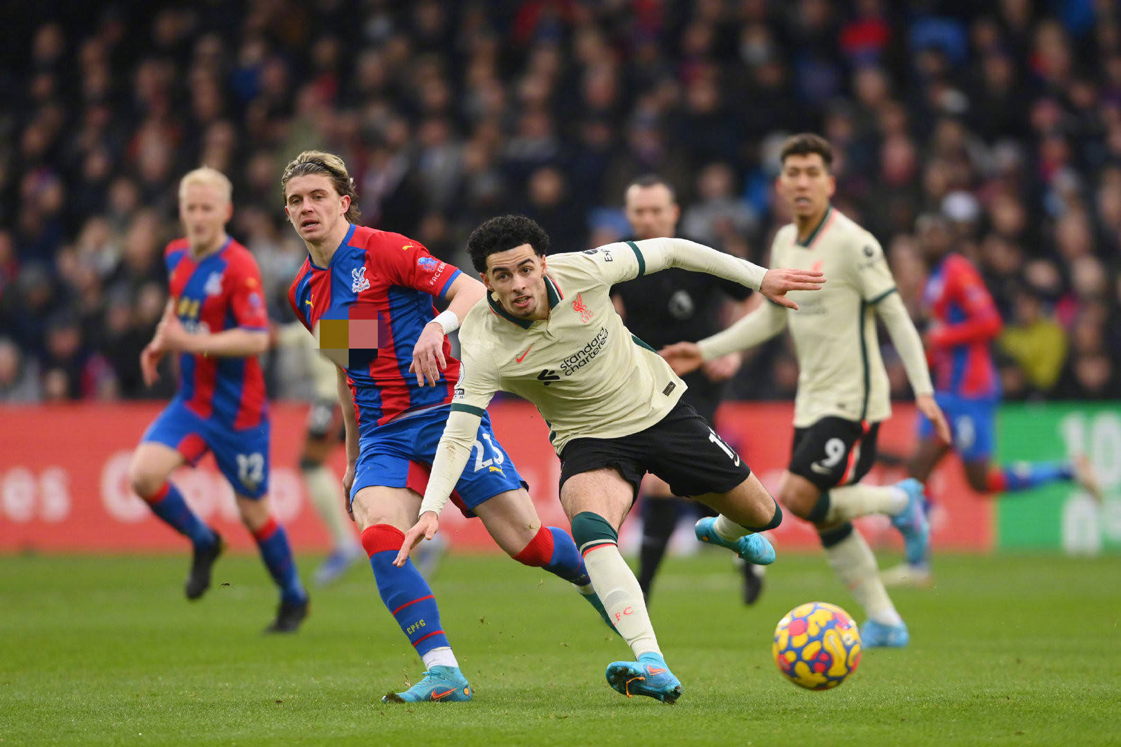 的支持者 的支持者