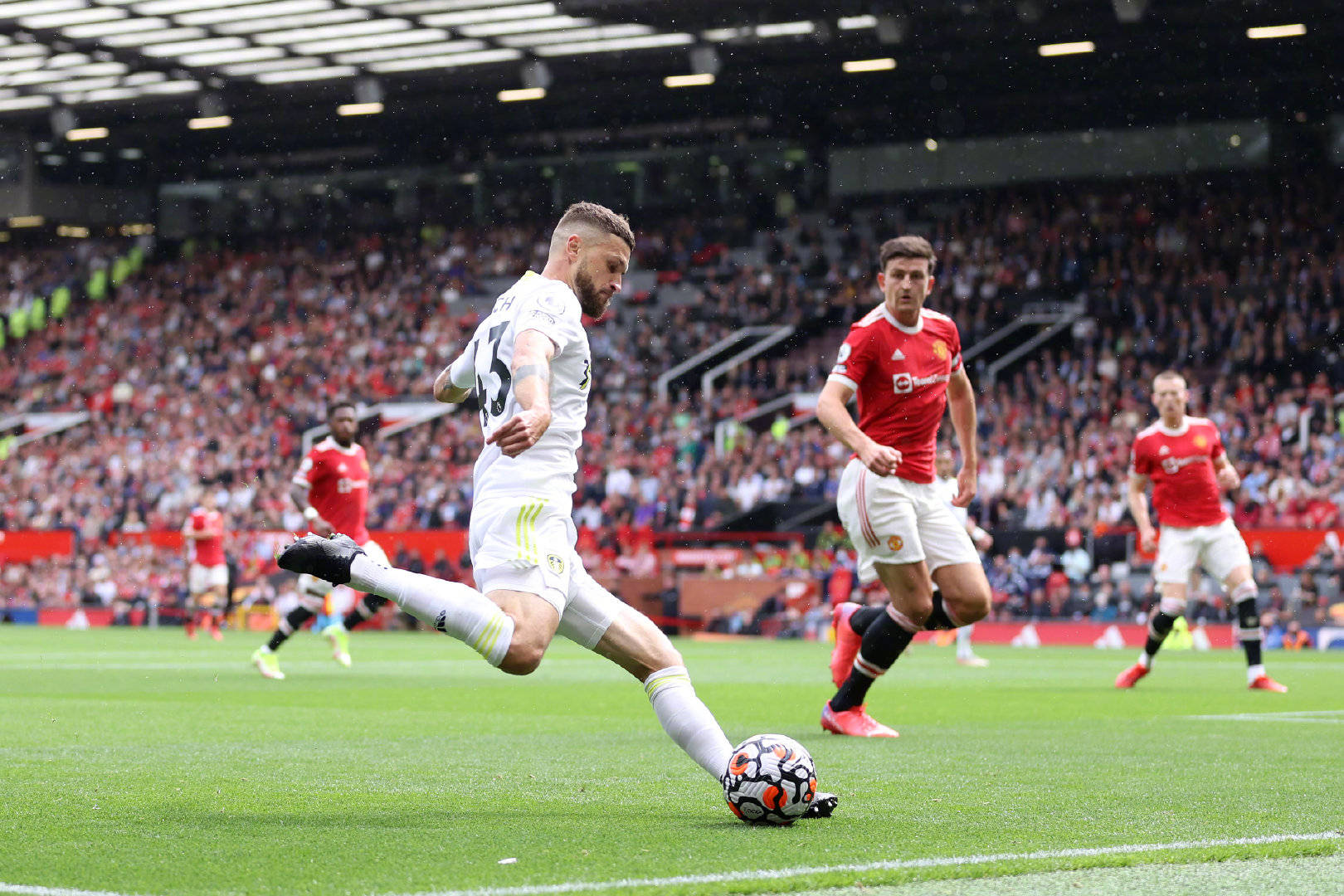 心不仅拥有 心不仅拥有